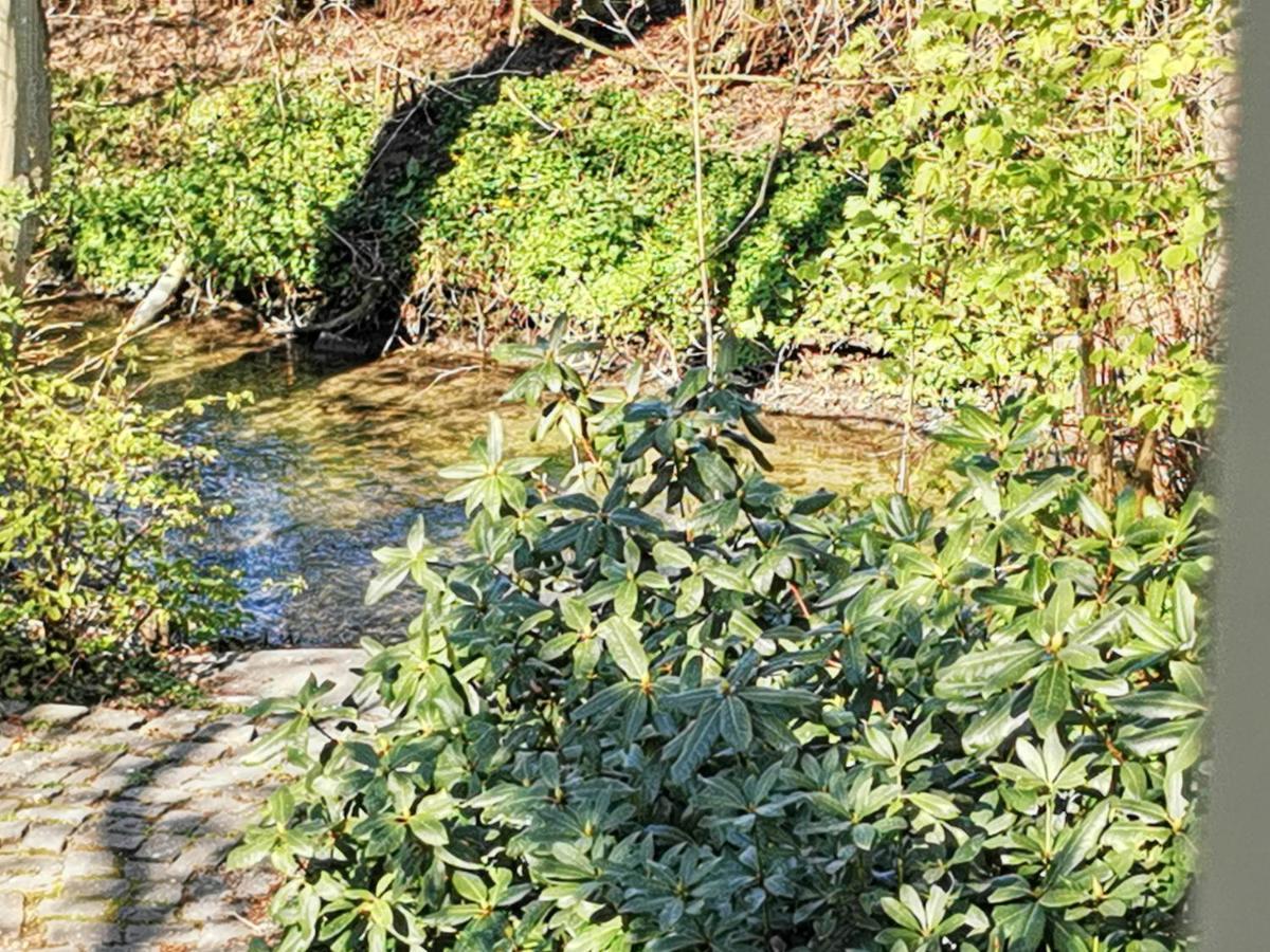 Hr Cottage Am Honigbach Coesfeld Esterno foto